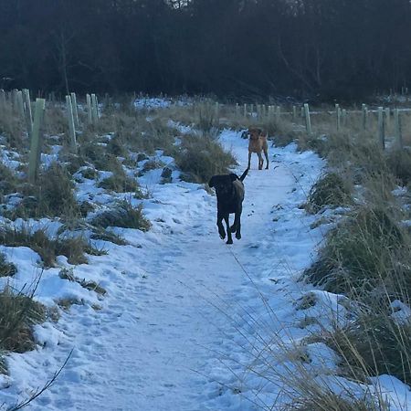 Aviemore Highlands No82 Екстер'єр фото